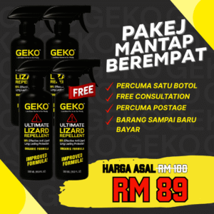 Geko Pakej Mantap Berempat