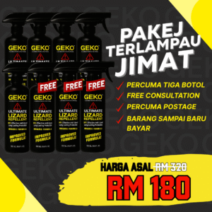 Geko Pakej Terlampau Jimat